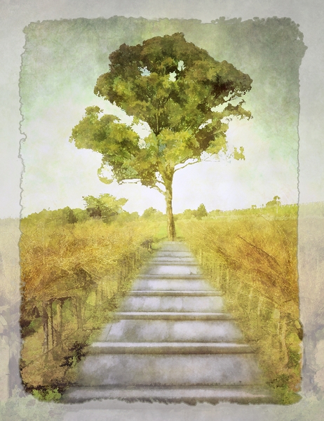 373 - TO THE TREE - PUDNEY JAN - australia.jpg